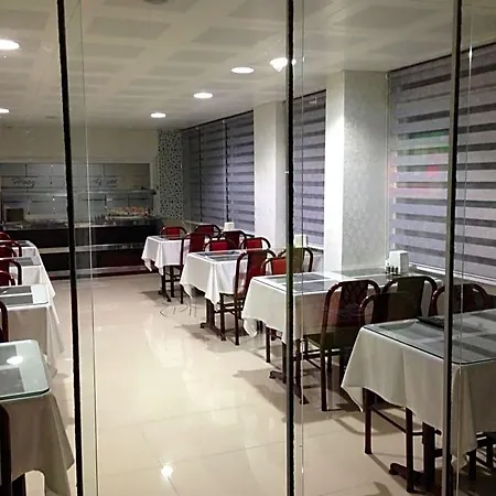 Hotel Simsek *